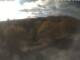 Webcam in Schierke, 12.9 mi away