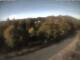 Webcam in Schierke, 9.9 mi away