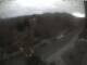 Webcam in Schierke, 0.1 mi away