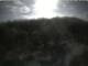 Webcam in Schierke, 2.8 km entfernt
