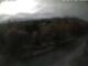 Webcam in Schierke, 1.1 mi away