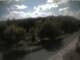 Webcam in Schierke, 10.6 km entfernt