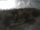 Webcam in Schierke, 1.1 mi away