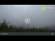 Webcam in Dolni Morava, 14.5 mi away
