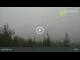 Webcam in Dolni Morava, 37.3 km