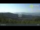 Webcam in Dolni Morava, 8.8 km