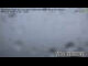 Webcam in Gmunden, 4.2 mi away