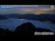 Webcam on the Hochkar, 0.4 mi away
