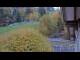 Webcam in Zell am See, 6.1 km entfernt