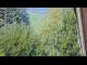 Webcam in Zell am See, 2.4 mi away