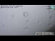 Webcam in Freiwandeck, 7.8 km