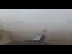 Webcam sul monte Crap Masegn, 9.4 km