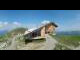 Webcam sur le Chäserrugg, 6.5 km