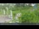 Webcam in Schierke, 2.5 km entfernt