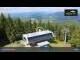 Webcam in Kouty nad Desnou, 15.7 km