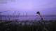 Webcam Shoeburyness