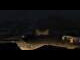 Webcam in Aragnouet, 40.7 km