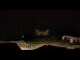 Webcam in Aragnouet, 36.4 km entfernt