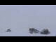 Webcam in Saas-Fee, 1.1 mi away