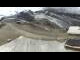 Webcam in Saas-Fee, 1.1 mi away