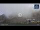 Webcam in Madonna di Campiglio, 2.4 mi away
