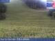 Webcam on mount Kronplatz, 0.2 mi away