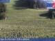 Webcam on mount Kronplatz, 0.1 mi away