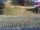 Webcam sul Plan de Corones, 4 km