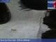 Webcam on mount Kronplatz, 0.2 mi away