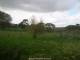 Webcam in Dartmoor, 35 km entfernt