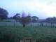 Webcam in Dartmoor, 4.6 mi away