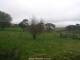 Webcam in Dartmoor, 21.3 mi away