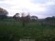 Webcam in Dartmoor, 18.3 mi away