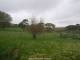 Webcam in Dartmoor, 18.6 mi away