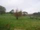Webcam in Dartmoor, 15.6 mi away