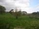 Webcam in Dartmoor, 18.3 mi away
