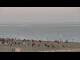 Webcam in Neuharlingersiel, 8.1 mi away
