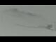 Webcam in Ischgl, 3.5 mi away