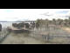 Webcam in Unteruhldingen, 7.8 km