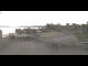 Webcam in Unteruhldingen, 3 mi away