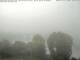 Webcam in Dresda, 2.7 km