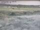 Webcam in Nieuwvliet-Bad, 17.8 km