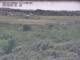 Webcam Nieuwvliet-Bad