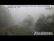 Webcam in Drachselsried, 13.3 km entfernt