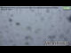 Webcam in Bad Reichenhall, 1.4 mi away