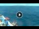 Webcam in Playa de las Americas (Tenerife), 0.6 mi away