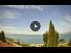 Webcam in Cisano (Lago di Garda), 1.9 km