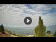 Webcam in Cisano (Lake Garda), 0.7 mi away