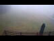 Webcam in Małe Ciche, 6.3 mi away