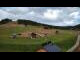 Webcam in Czarna Góra, 6.4 mi away